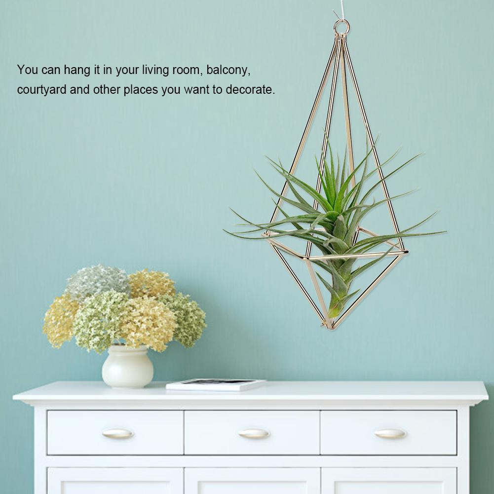 Plant Holder Quadrilateral  ing Tillandsia Rack for Room Decor(Black)