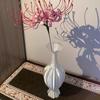 Woondecoratie – Vazen