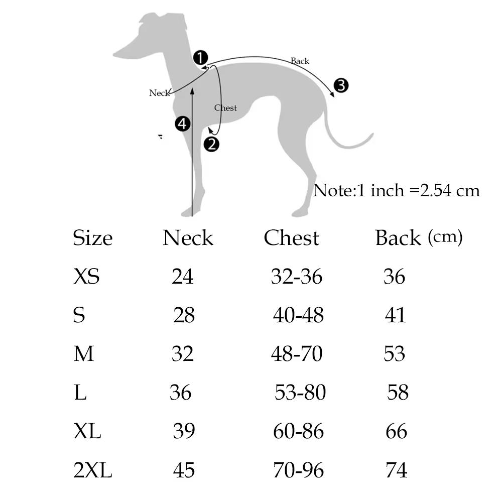 Modischer Regenmantel für Airless Terrier Weiche Welpenkleidung Warmer wasserdichter Mantel für Italienischen Windhund Whippet Hundejacke