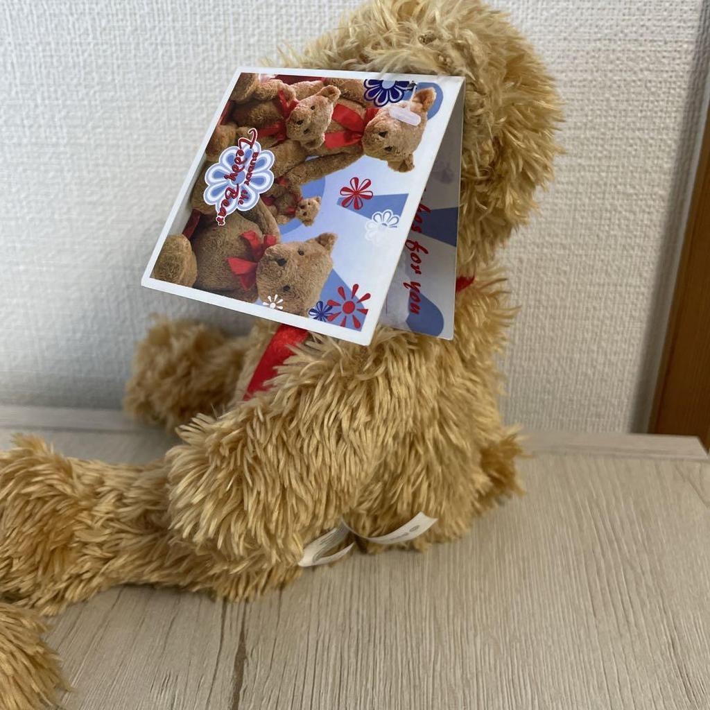 [USED] Teddy Bear CE Mark