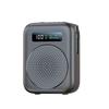Portable Wireless Bluetooth Loudspeaker & Microphone for Teaching, Tours, and Promotions - Little Bee Megaphone
