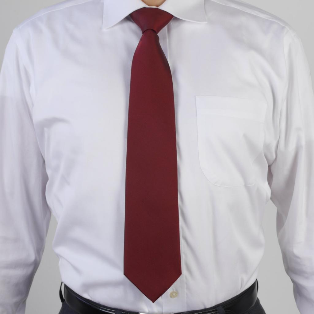 [TheT] Clothing Warehouse Necktie, Kendo Referee Necktie, Burgundy, rn4021a