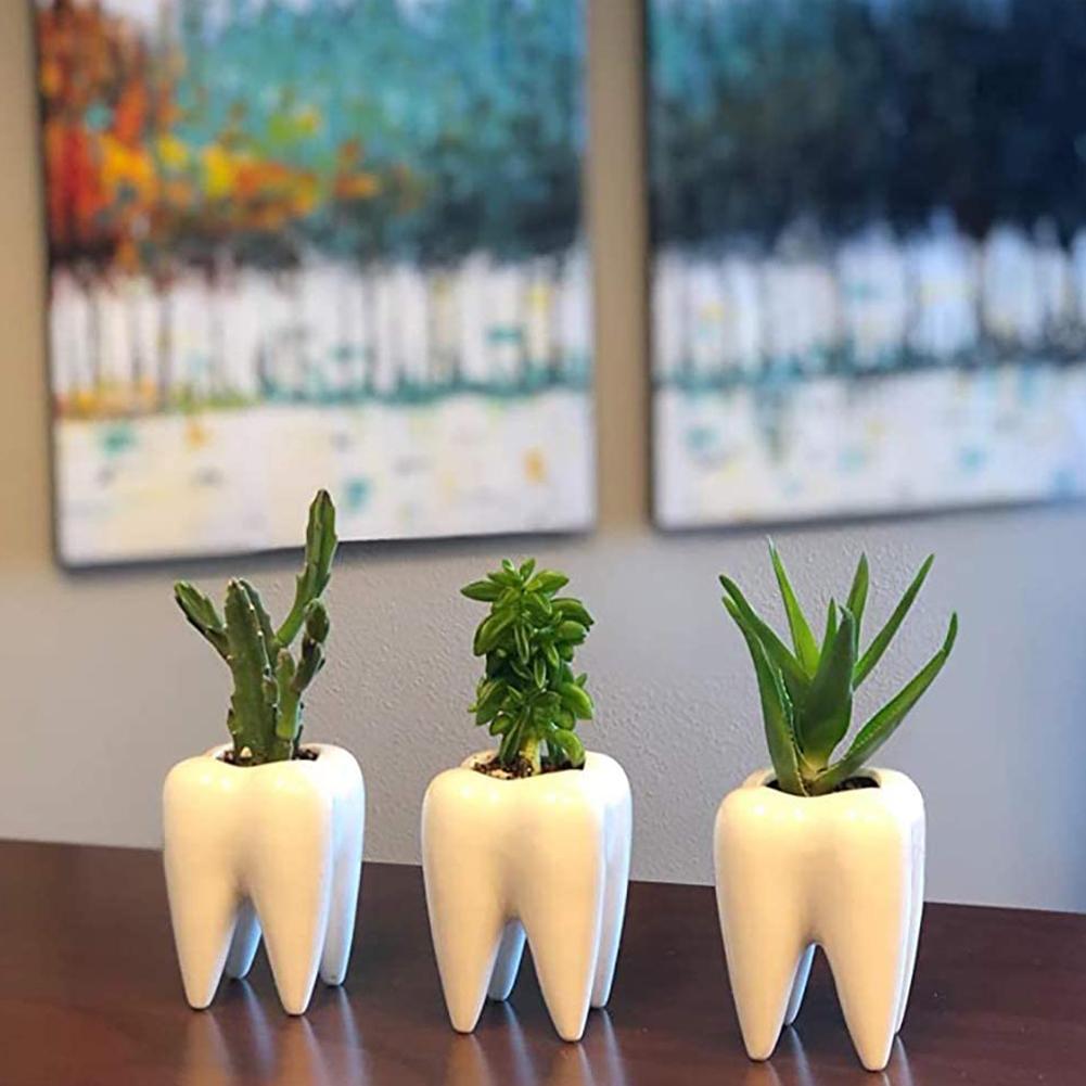 1Pcs Dente em forma de vaso de cerâmica para mesa, decoração para casa, vaso de cacto fofo, vaso de flores, suculentas, viveiro de plantas, bacia de mesa Va L5L0