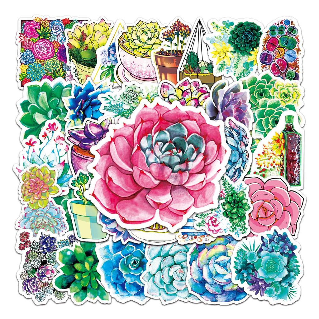 50 Pictures of DIY Personality Green Plant Succulent Cartoon Doodle Creative Laptop Suitcase Car Refrigerator Stickers