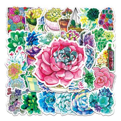 50 Pictures of DIY Personality Green Plant Succulent Cartoon Doodle Creative Laptop Suitcase Car Refrigerator Stickers