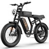 URLIFE T2 Terénní elektrické kolo 48V15.6AH Baterie 750W Motor Jízda v přírodě E-horské kolo 20 palcové tlusté pneumatiky Terénní elektrické kolo