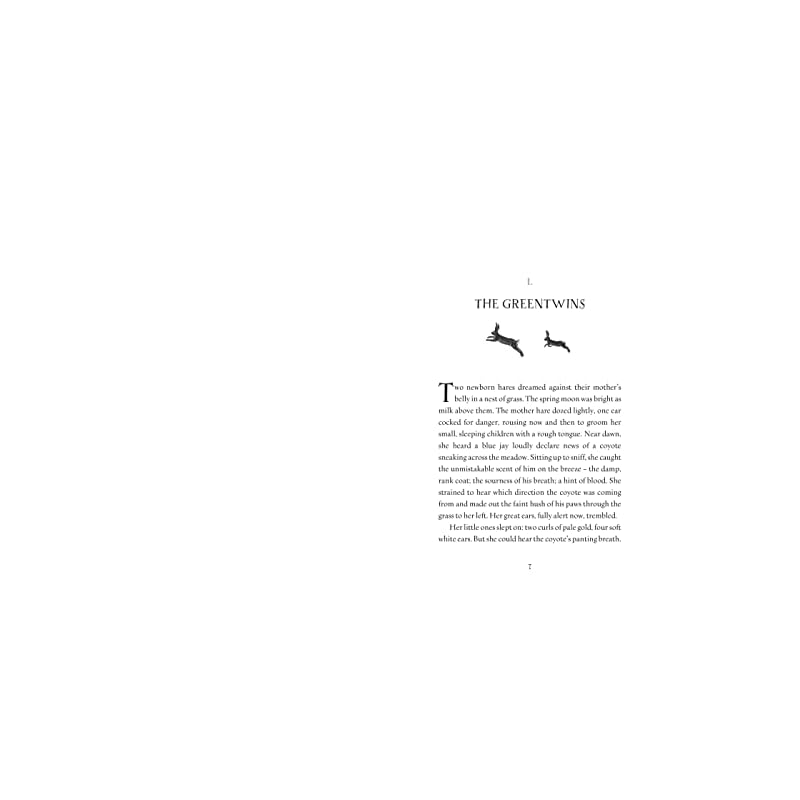 The Wild Folk BRAND NEW, Exactly same ISBN as listed, Please