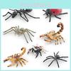Insect Spider Scorpion Ant Animal Replicas For Children Learning Pvc Collectible Models For Classroom Use