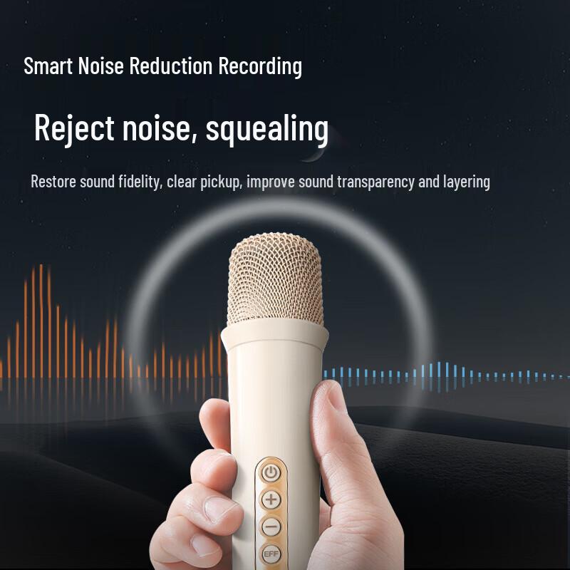 Philips Karaoke Microphone & Speaker System