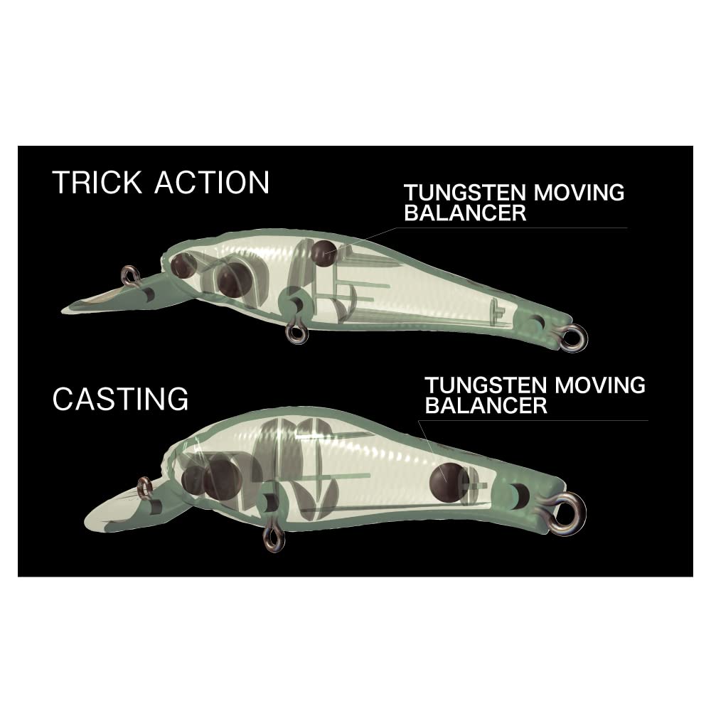 Megabass MARGAY SW GG Chartback Rainbow PB