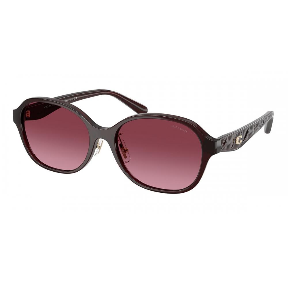 Coach Women Sunglasses Hc8445d Cby85 Model 59158h