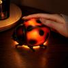 Glowing Night Light, Decorative Lamp for Bedroom, Cute Shaped
