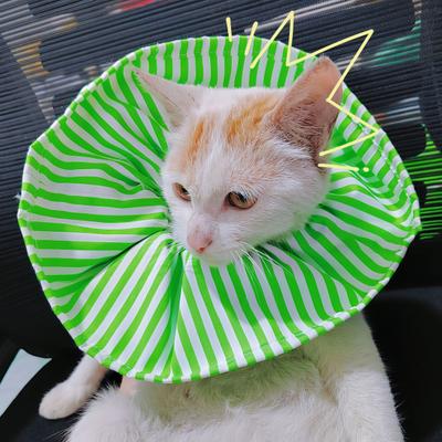 Katzen Schutzkragen Weich Atmungsaktiv Verstellbare Schnalle Klassisch Gestreift Halsband Anti-Lecken Anti-Beißen Haustier Hund Nach Operation Wundheilung Kragen