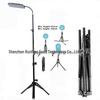 New Custom Floor Stand Lamp - Single/Double Head Red Light Therapy with Timer, 100 Lights