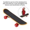 1Pc Parrot Skateboard Perch Stand Bird Funny Training Playing Interaction Toy