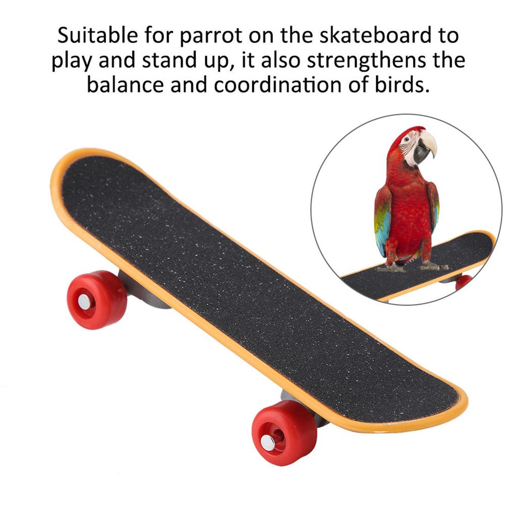 1Pc Parrot Skateboard Perch Stand Bird Funny Training Playing Interaction Toy