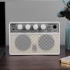 Electric Bass Amplifier BT Portable Electric Bass Audio Amplifier 10W 6.35mm Musical Instrument Accessories for Electric Bass