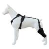 Pet Protector Dog Hindleg Double Protector Thigh Protector Postoperative Auxiliary Leg Cover Adjustable Metal Support