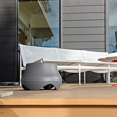 Enceinte - Polk Audio - Atrium Sub 100 - Gris - Filaire - Résistante Aux Intempéries