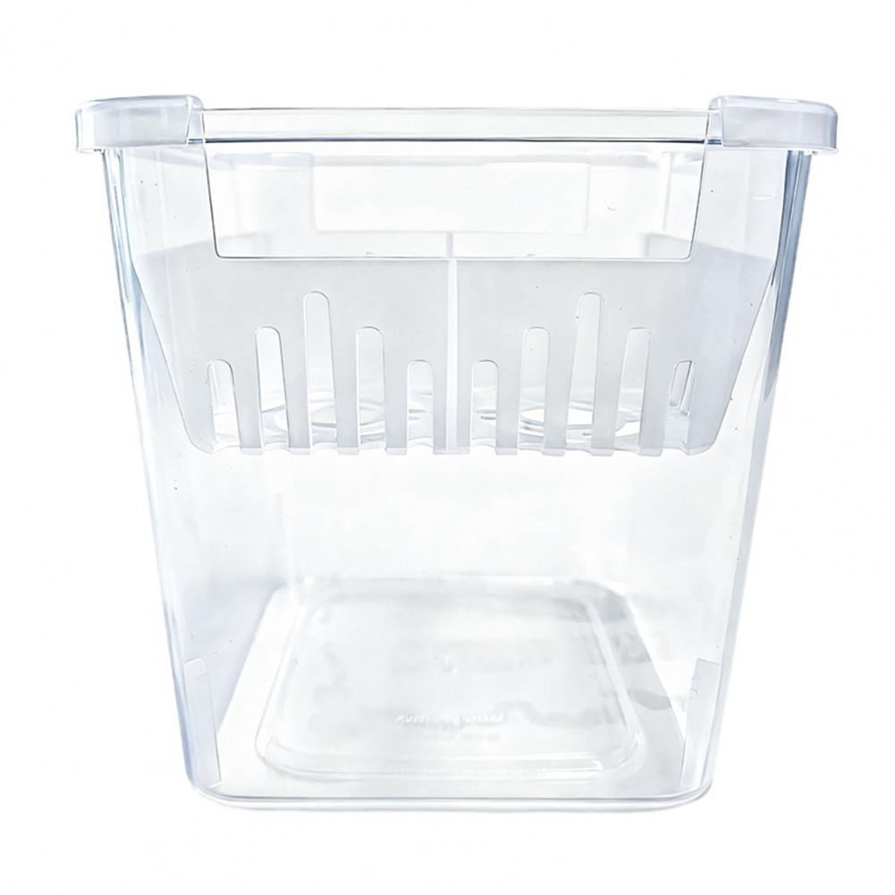 Гидропонная клумба Горшок для луковиц тюльпанов 4-секционный Гидропонный цветочный горшок с резервуаром Горшок для комнатного садоводства Система дренажа для тюльпанов