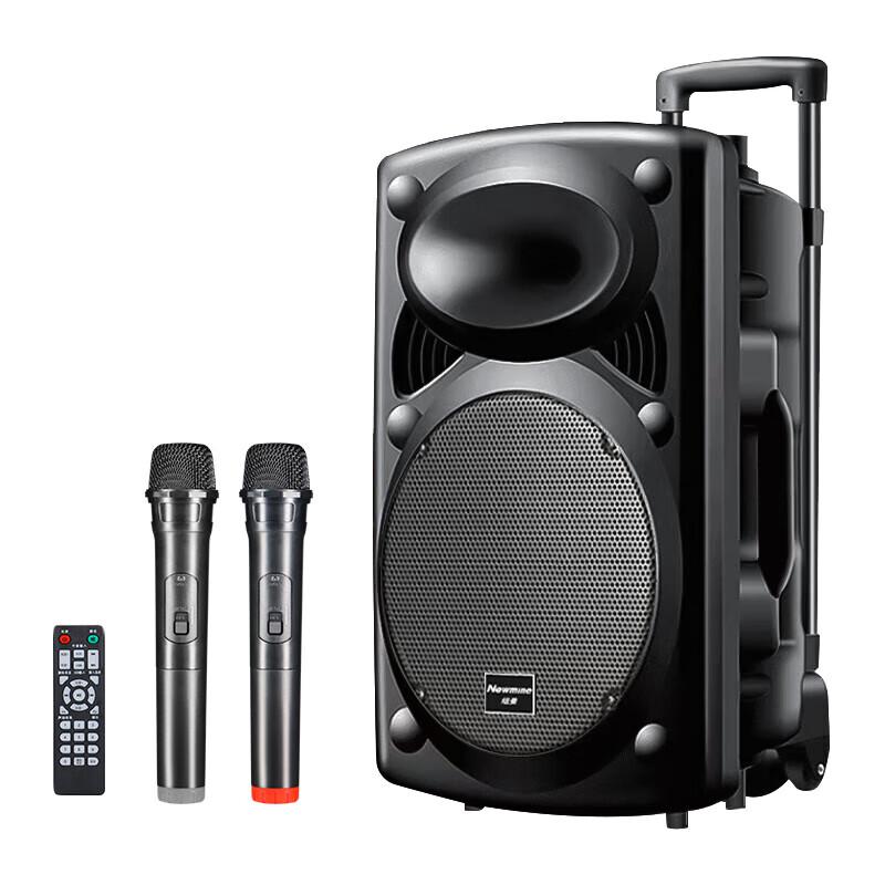 Newman B12 12-inch Outdoor Portable Bluetooth Karaoke Speaker with Dual Mics CN Plug (adapter Included)