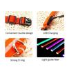 Collare LED per Cani Anti-smarrimento/evita Incidente d'Auto Collare per Cani Ricarica USB Forniture Guinzaglio Collare per Cani Articoli per Animali Domestici