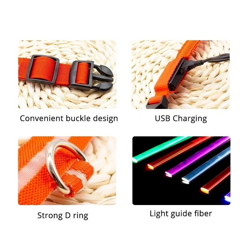 Collare LED per Cani Anti-smarrimento/evita Incidente d'Auto Collare per Cani Ricarica USB Forniture Guinzaglio Collare per Cani Articoli per Animali Domestici