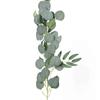 Artificial Green Plant Eucalyptus Willow Rattan Eucalyptus Leaf Wall Hanging Wedding Party Background Home Decoration