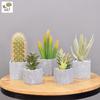 Simulatie huisdecoratie balkon vloersieraad kunstplant simulatie cactus potplant