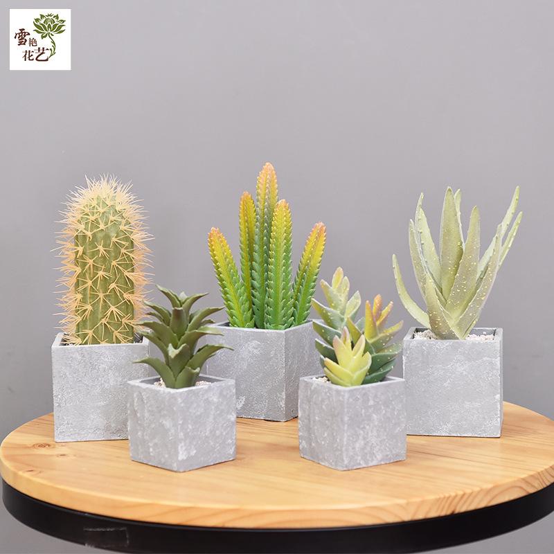 Simulatie huisdecoratie balkon vloersieraad kunstplant simulatie cactus potplant
