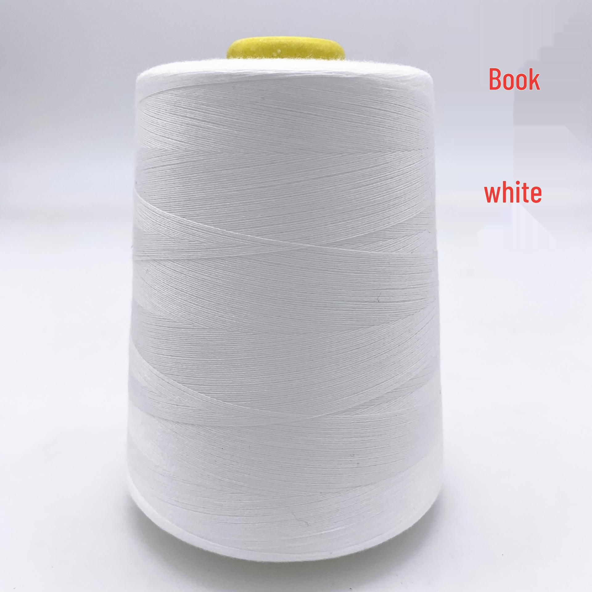 Multi-color Large Roll Sewing Machine Thread Set