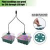 Plant LED Light For Plant Seed Starter Trays Nursery Pots Seedling Tray Planter Plant Growing Flower Pot Planting Seedling Pot