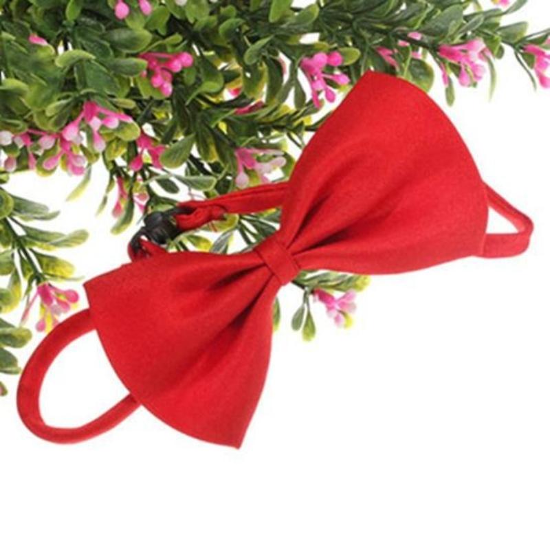 Beauty Cute Solid Color Adjustable Cat Bowtie Pet Dog Collar Bowknot Necktie Bow Tie