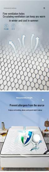 Thickened Dormitory Latex Mattress: Soft Tatami-Style Cushion for Students