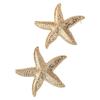 Boucles d'oreilles pendantes Étoile de mer Dorée Boucles d'oreilles pendantes Étoile de mer Bohémiennes Boucles d'oreilles pendantes Étoile de mer Fête