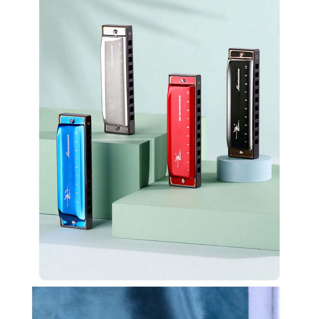 10 Hole C Key Blues Harmonica Beginner To Play 10 Hole Harmonica
