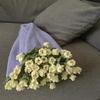 Bouquet Blanket Crochet Kit Craft Knitting DIY Starter for Birthday