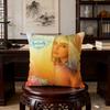 Singer A-Addison R-Rae cushion cover Birthday Anniversary Gifts Double Sided Printed Zipper Cushion Cover Soft Skin Bedding