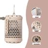 Reptile – Terarii pentru reptile