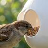 Outdoor-Vogelfutterspender, Hängender Kunststoff-Futterspender, Einfach zu befüllender Spender, Ideal für mehrere Vögel, Langlebig