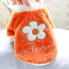 Pet Clothing Wholesale Autumn and Winter New Dog Clothing Warm Sweater Plus Velvet Paris Alphabet Sweater Pet Clothes