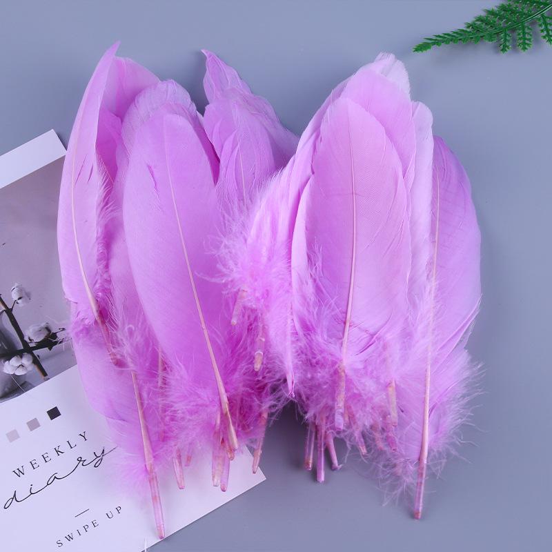 

50 шт. Ракушки Перья Гусиные перья Сделай сам Аксессуары для украшений ручной работы Поделки Игрушки для кошек Декоративные перья