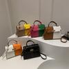 2025 neue Color-Block Umhängetasche Pendler Handtasche Premium Metallschloss Crossbody