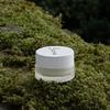 Nordic Birch Birch Energy Eye Balm