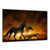 TEMPERED GLASS CUTTING BOARD 30x22 HORSES