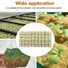 50 Pcs Rock Wool Grow Cubes for Cuttings Cloning Plants Propagation Seed Starting Hydroponic Grow Media Rooting Cuttings