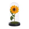 Sunflowers Artificial Flowers In Plastic Dome with LED Strip, Birthday Gifts for Mom & Grandma, Sunflower Decor On Mother's Day