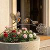 Metal Garden Sculpture Bird Decorative Outdoor Yard Lawn Art Iron Flower Ball Landscape Ornament for Patio Lawn Garden Decoration