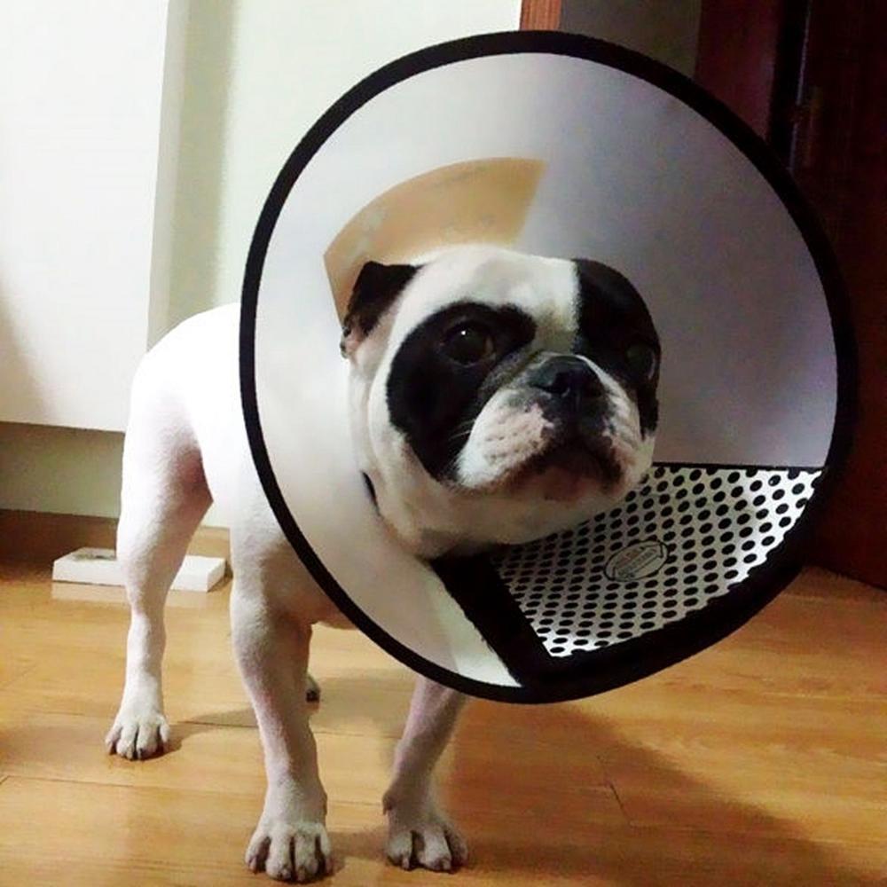 Dogs Health Anti-bite Protection Cover Pets Protective Collar Neck Cone Recovery Elizabethan Collar