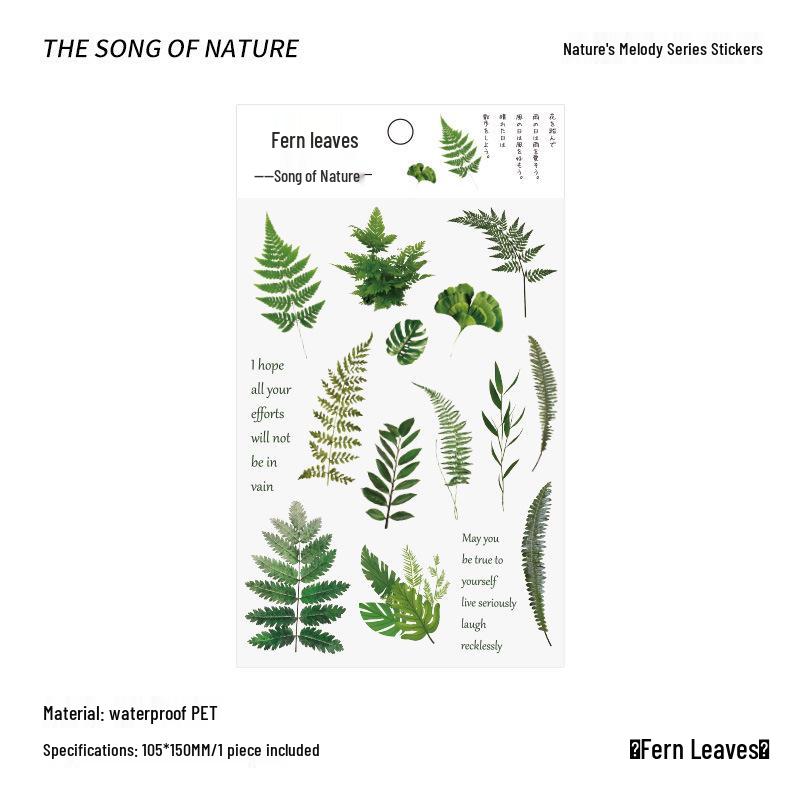 PVC Flower & Plant Stickers for DIY Crafts, Journals, Collages & Kids' Gifts